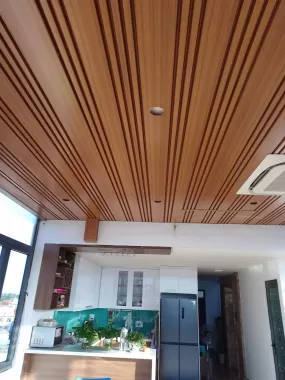 Cửa Nhôm Xingfa - Mẫu 11